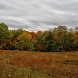DSC 5274