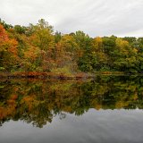 DSC 5310